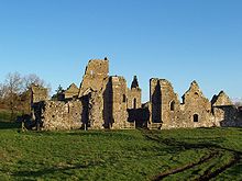 Athassell_Abbey